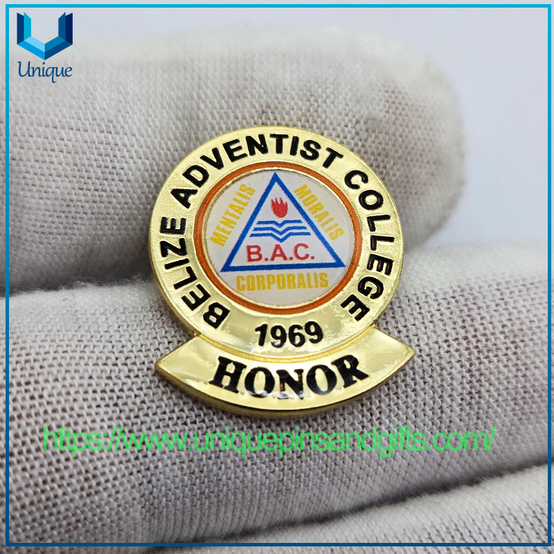 Broche escolar de metal 3D personalizado, Pin para solapa con insignia, insignia de Honor universitario, insignia de enfermería SJC