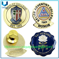 Broche escolar de metal 3D personalizado, Pin para solapa con insignia, insignia de Honor universitario, insignia de enfermería SJC