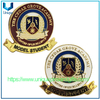Logotipo de diseño personalizado Escuela de metal de esmalte suave Insignia de alfiler con epoxi