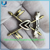 Insignia de metal personalizada, emblema chapado en oro 3D con logotipo de la bandera nacional paquistaní