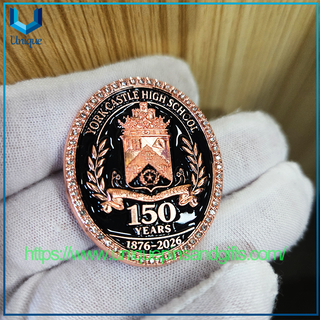 Pin de encargo de la solapa de la insignia de la universidad de la insignia de la escuela de la insignia del metal 3D, borde exterior fijado con diamantes y casquillo plano